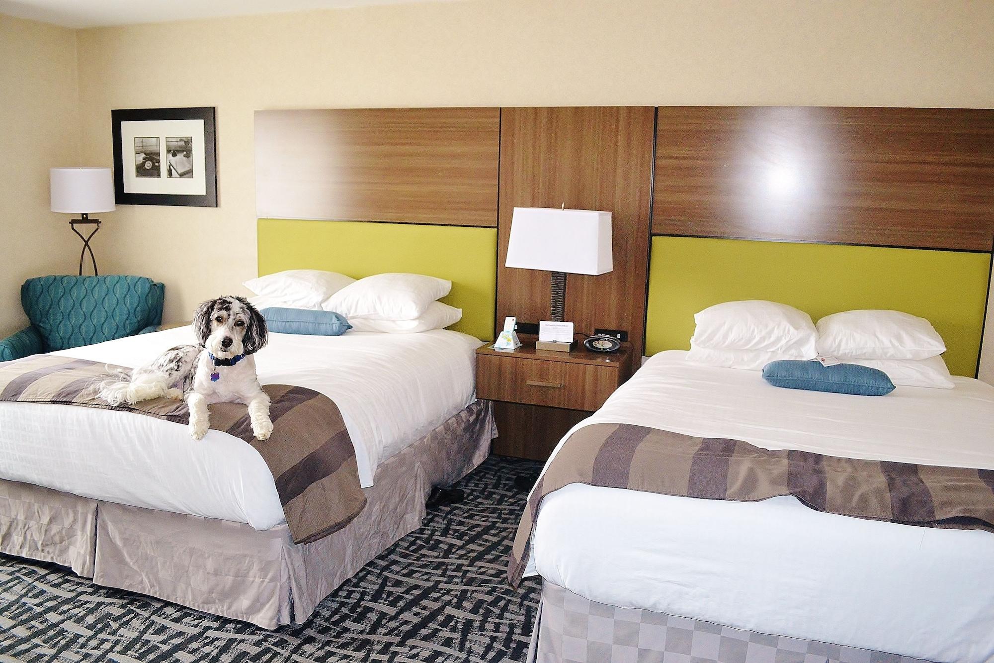 Best Western Dubois Hotel Eksteriør billede